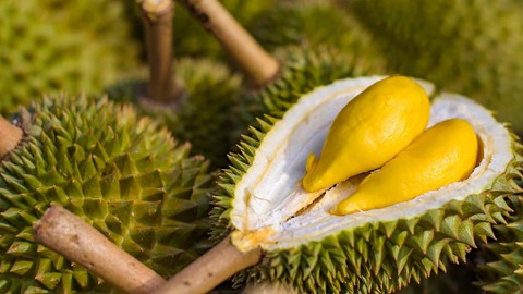Tips Membawa Durian ke Pesawat Tanpa Ganggu Penumpang Lain