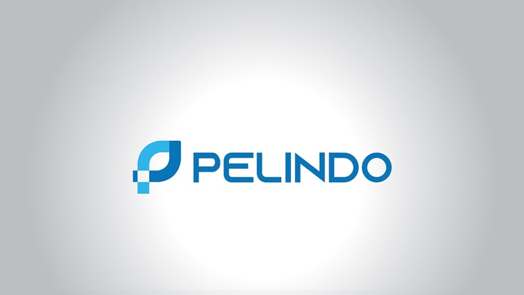 Pelindo Perkuat Strategi Bisnis Berkelanjutan Dorong Ekonomi Maritim Nasional
