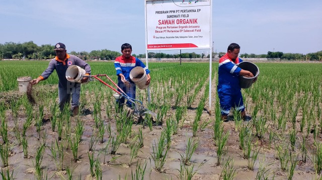 SPPG Siap Menjadi Offtaker Tetap Guna Mendorong Produktivitas Hasil Panen Petani