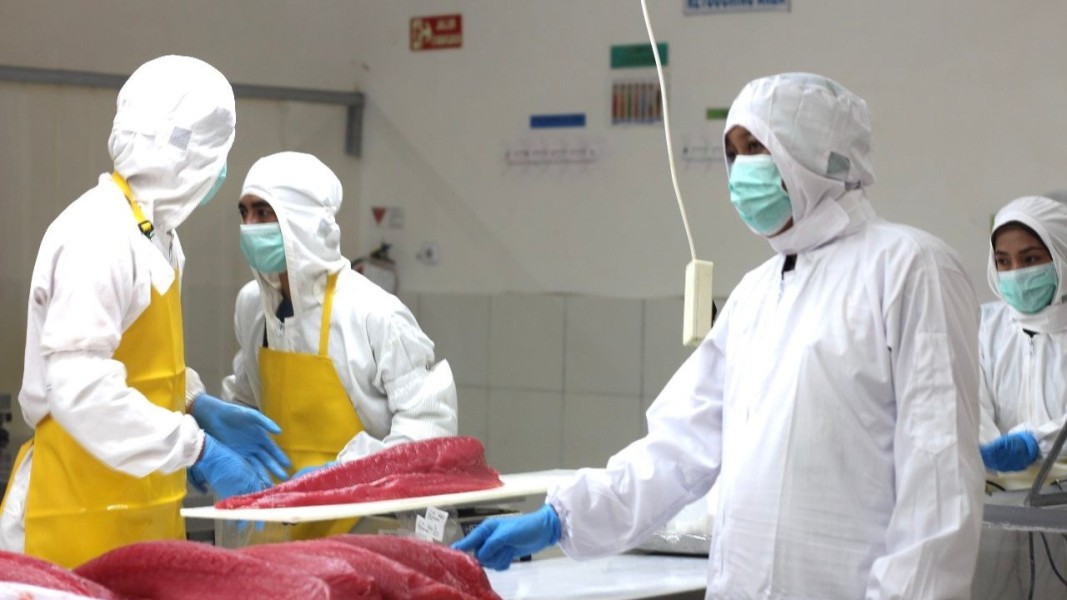 KKP Fasilitasi 33 UPI Baru untuk Meningkatkan Ekspor Perikanan ke Taiwan