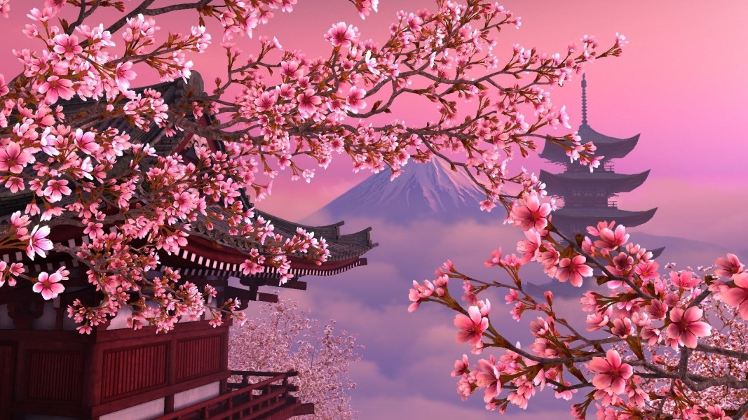 Fenomena Langka Bunga Sakura Mekar di Musim Gugur Jepang Tahun 2025
