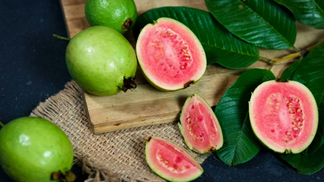 Rutin Konsumsi Jambu Biji Saat Musim Hujan, Ini Deretan Manfaat Penting bagi Daya Tahan Tubuh