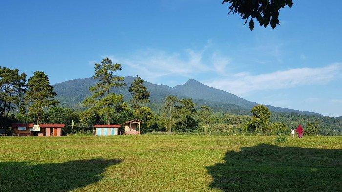Situ Kembar Rawa Sekond: Destinasi Tersembunyi di Bogor yang Menawarkan Wisata Alam Memesona