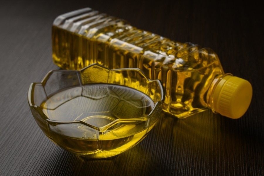 Fenomena Semut Pada Botol Minyak Goreng Apakah Masih Aman Untuk Dikonsumsi