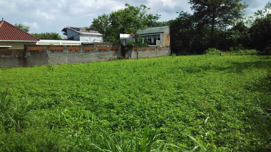 Analisis Kenaikan Harga Properti Wilayah Bogor Selatan Pada Awal Tahun 2026