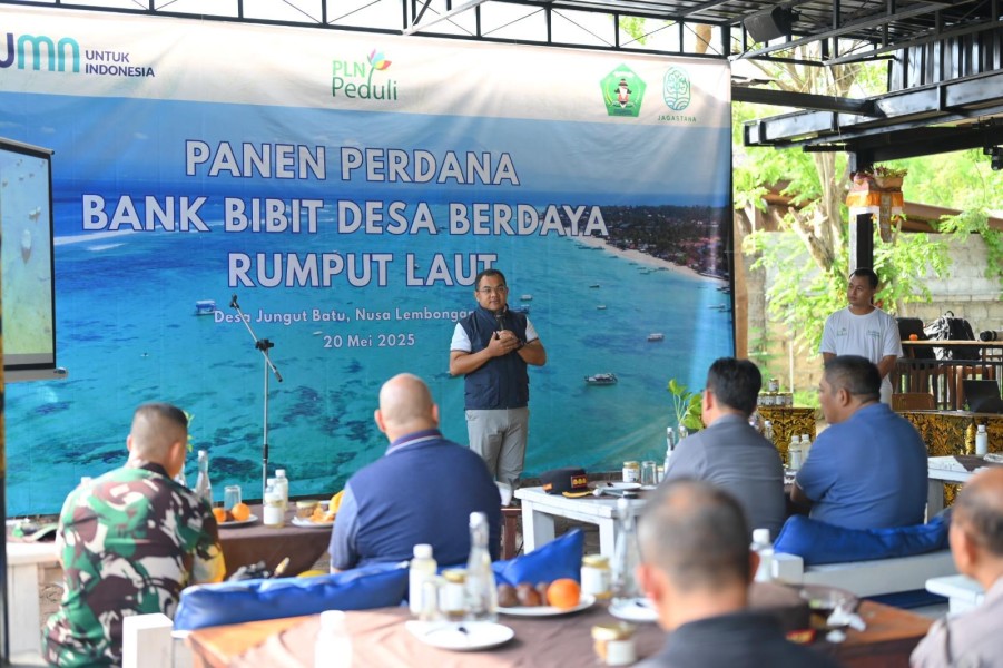 Dari Pesisir Nusa Lembongan, PLN Bangun Kemandirian Ekonomi Melalui Rumput Laut