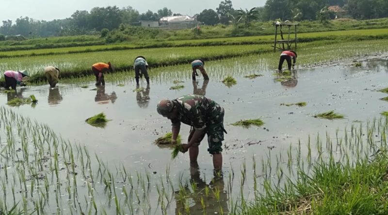 Pemkab Bangkalan Dorong Petani untuk Olah Hasil Pertanian Secara Mandiri untuk Peningkatan Ekonomi