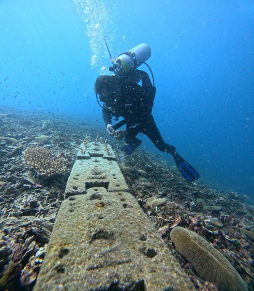 Indonesia Power dan Peranannya dalam Perlindungan Terumbu Karang