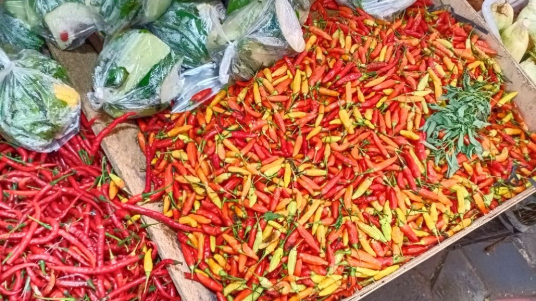Harga Pangan Nasional Terbaru Cabai Rawit Merah Tembus Tinggi Ayam Stabil