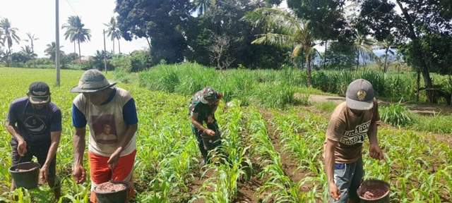 Pupuk Indonesia Perkuat Perekonomian Petani dengan Program Pendampingan Terpadu