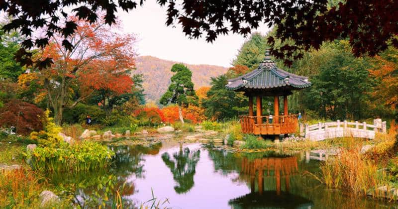 Tips Liburan Musim Gugur Korea, Panduan Lengkap
