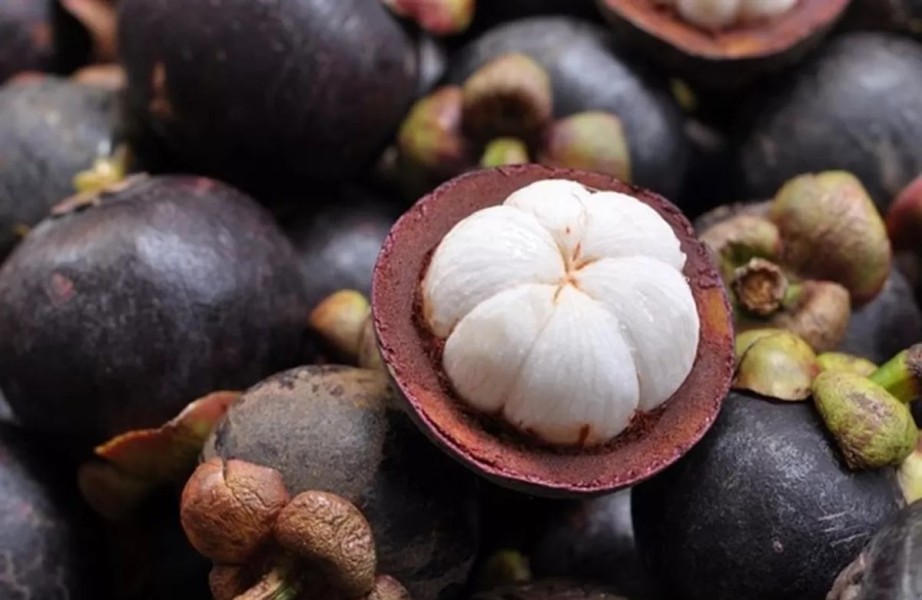 BRIN Teliti Senyawa Kulit Manggis sebagai Kandidat Terapi Baru Kanker Payudara`