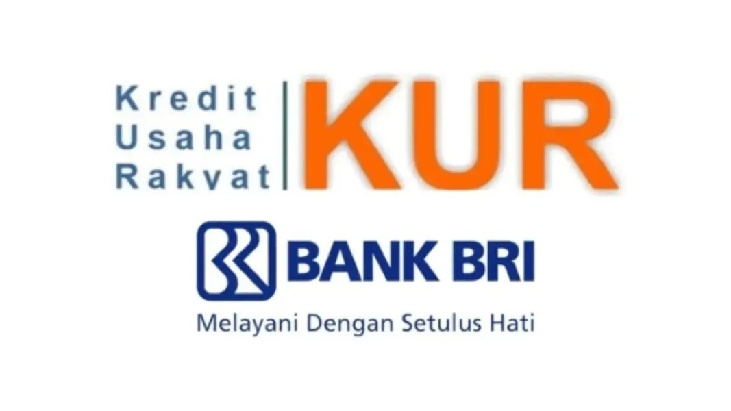 Akses Permodalan UMKM Melalui KUR BRI Pinjaman 100 Juta Untuk Ekspansi Bisnis