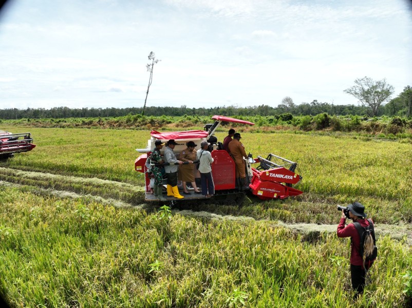 Panen Raya Padi Tahun 2026 Perkuat Peran Petani dalam Ketahanan Pangan Nasional