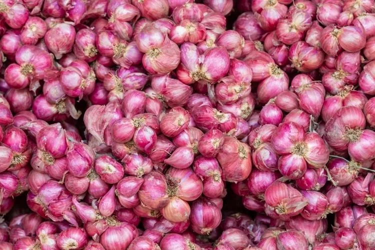 Harga Sembako Jogja 19 Agustus 2025