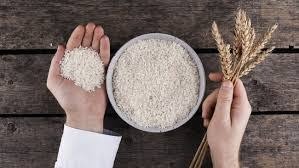 Panduan Zakat Fitrah Kendari Ramadan 2026 Besaran Tertinggi Lima Puluh Ribu