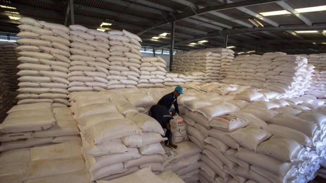 Penurunan Harga Pupuk Bersubsidi Buka Harapan Baru bagi Kemajuan Pertanian