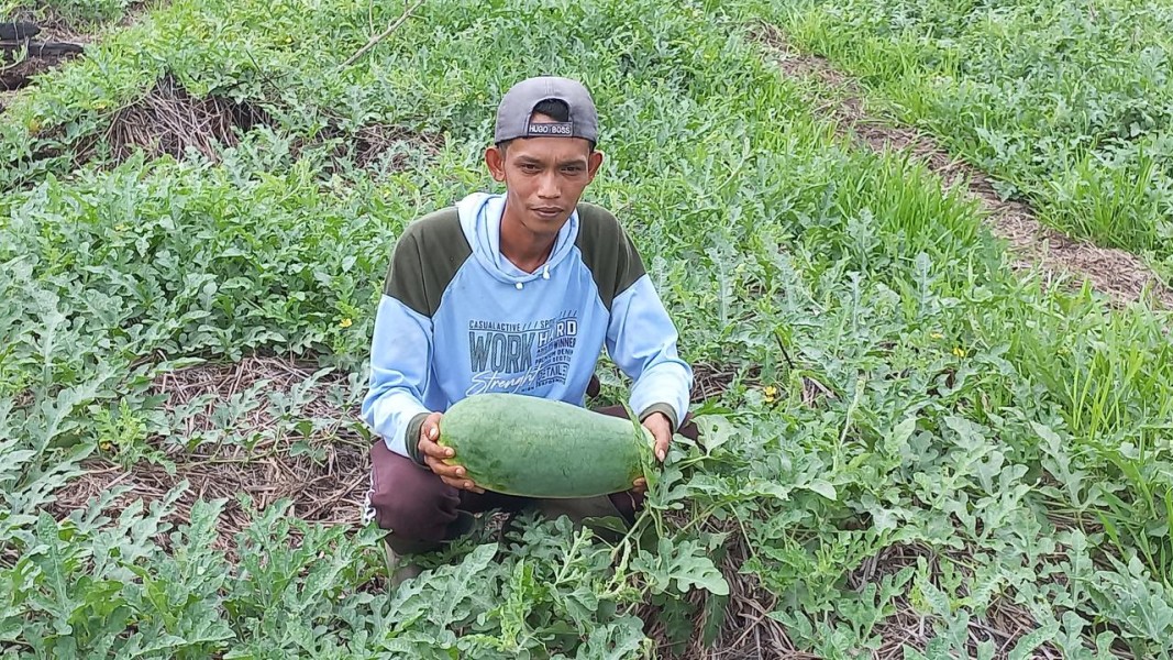 Petani Muda Kembangkan Pertanian Organik dengan Pupuk Terjangkau