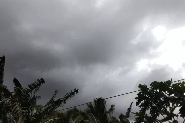 Prakiraan Cuaca Samarinda Selasa 10 Februari 2026 Berawan Tebal Hingga Hujan Petir