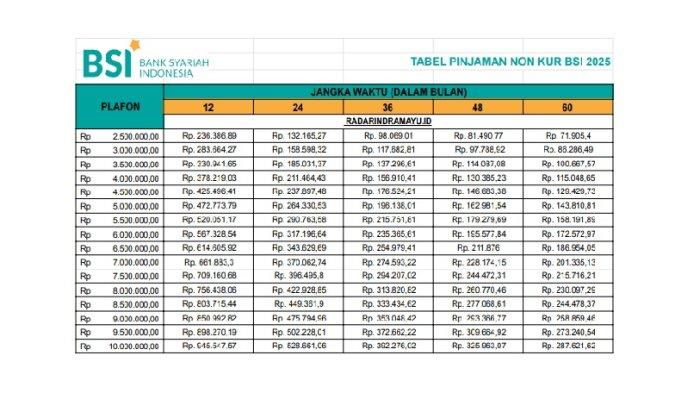 Angsuran Mulai dari Rp9 Juta, Bank Syariah Indonesia Tawarkan Pinjaman KUR Hingga Rp500 Juta untuk UMKM di 2025
