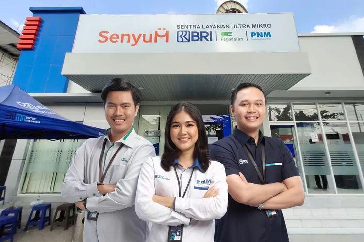 Kinerja Keuangan BRI Kian Solid dengan Kredit UMKM Berkualitas Tinggi, Laba Jadi Bukti Nyata