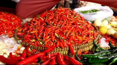 Harga Cabai Rawit Merah Turun 8,62 Persen, Daging Ayam Stabil Awal Maret 2026