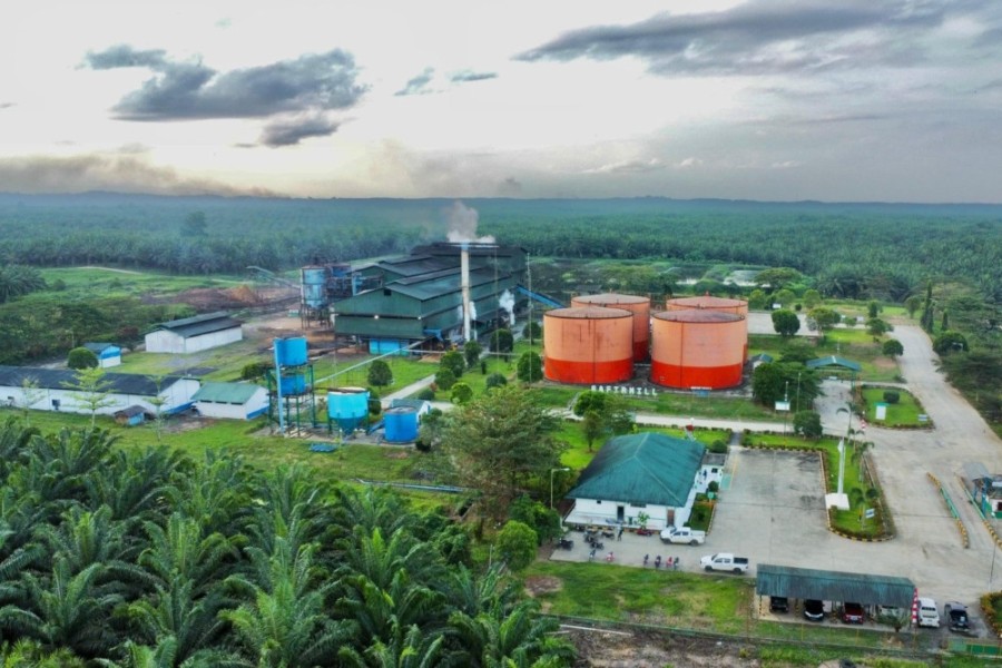 Terdongkrak Harga CPO, BWPT Bukukan Pendapatan Rp5,8 Triliun Naik 34 Persen di 2025