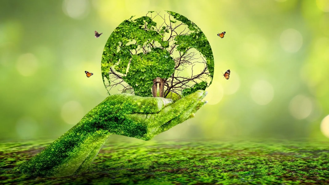 Permudah Izin PSEL, Pemerintah Dorong Percepatan Transformasi Energi Hijau