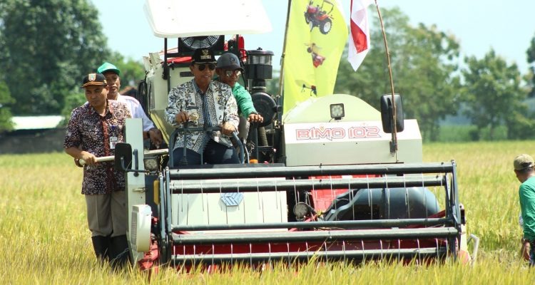 Petani Rembang Raup Untung 30 Juta Berkat Teknologi Pertanian Modern