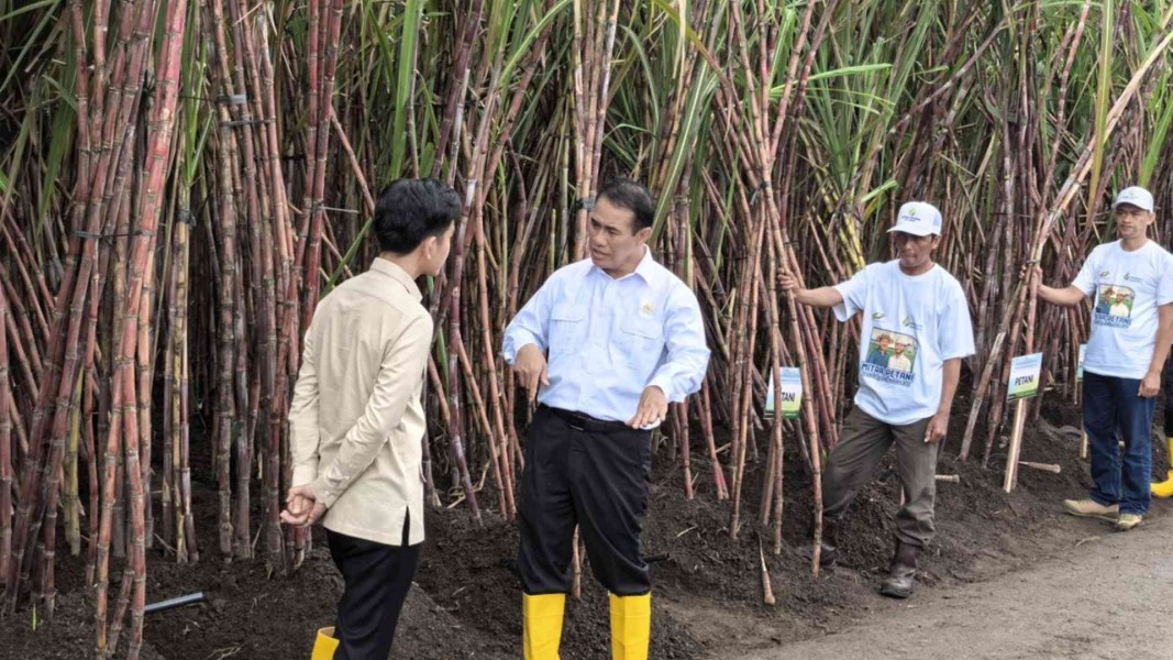 Petani Jadi Fokus Utama Swasembada Gula Nasional 2025
