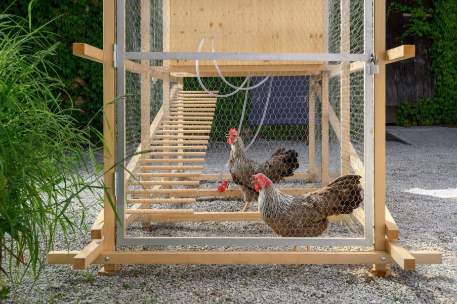 Inovasi Peternakan Terpadu Optimalkan Lahan Sempit Dan Biaya Operasional