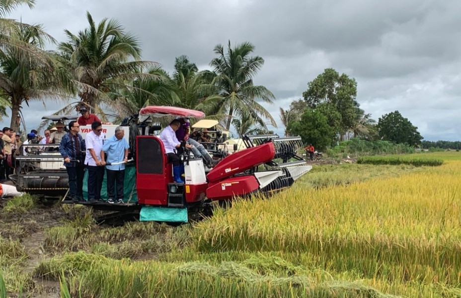 Bulog Perkuat Stok Nasional Lewat Penyerapan Gabah Petani
