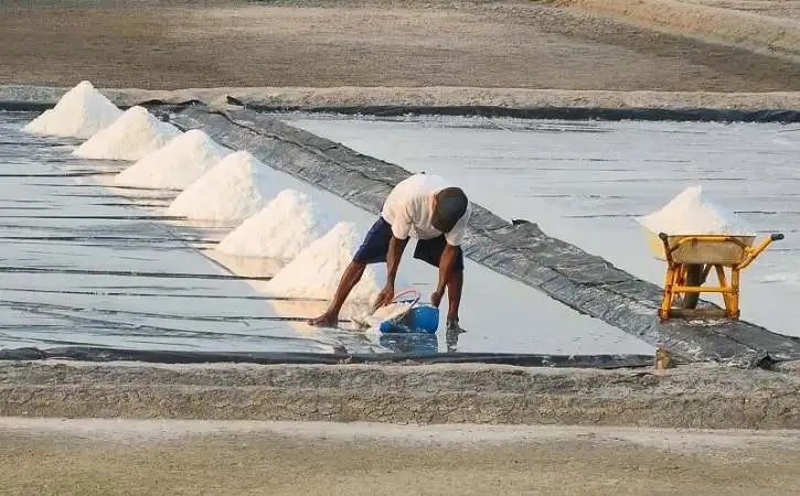 Kegigihan Petani Garam Rembang Menjadi Inspirasi Hidup Bagi Banyak Orang