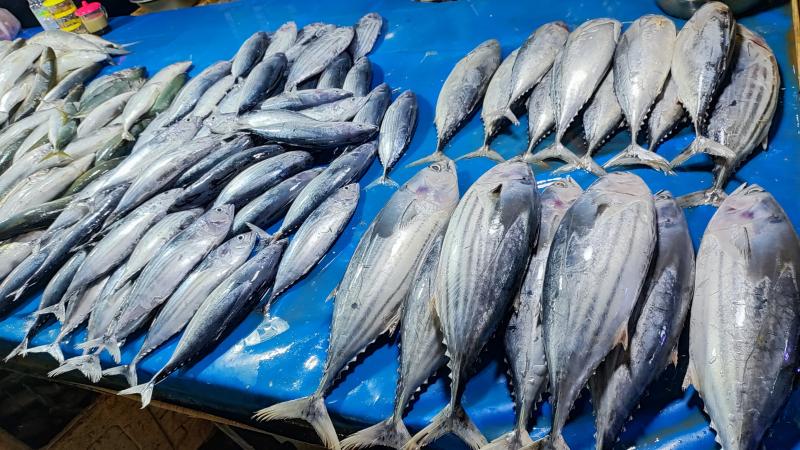 KKP Pastikan Stok Ikan Aman Selama Ramadhan Hingga Idul Fitri 2026