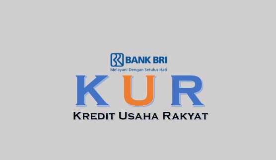 Simak Tabel Angsuran KUR BRI 2025 Lengkap, Syarat, dan Cara Pengajuan