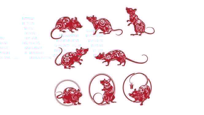 Ramalan Shio Tikus 2025: Karier, Cinta, dan Keberuntungan Besar Menanti