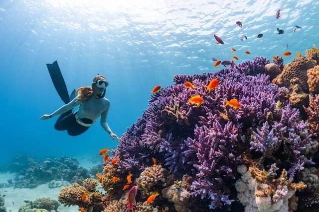 10 Tempat Wisata Wakatobi yang Menawan untuk Liburan