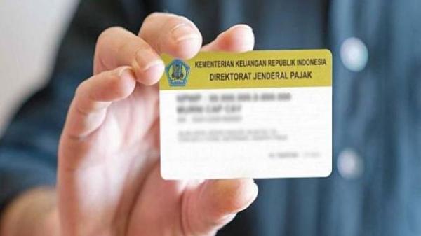 Panduan Lengkap Cara Cek NPWP Aktif atau tidak dengan Mudah