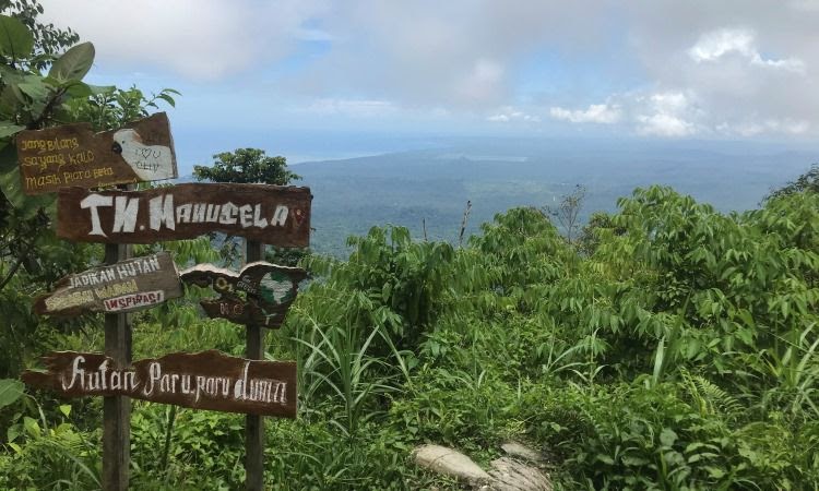 Balai TN Manusela Tutup Sementara Wisata Pendakian Gunung Binaiya di Maluku Setelah Hilangnya Pendaki