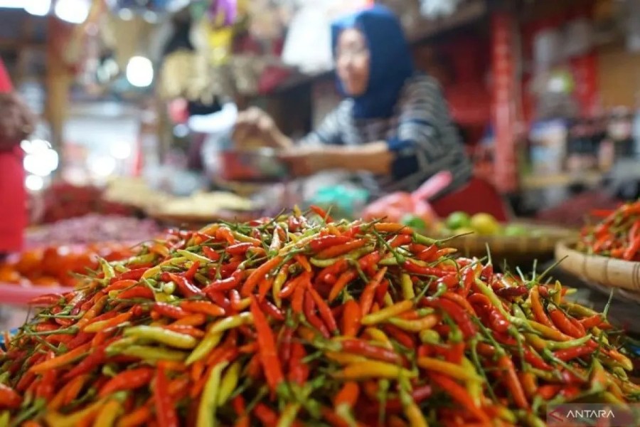 Laporan PIHPS 18 Februari 2026 Harga Cabai Rawit Merah Meroket Tajam