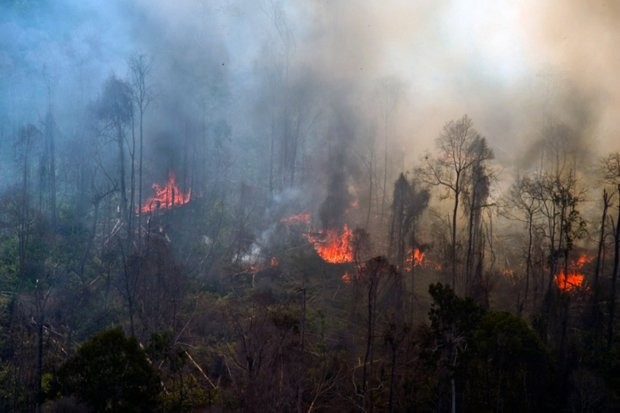 BMKG Siap Hadapi Karhutla Lewat Mitigasi Terpadu