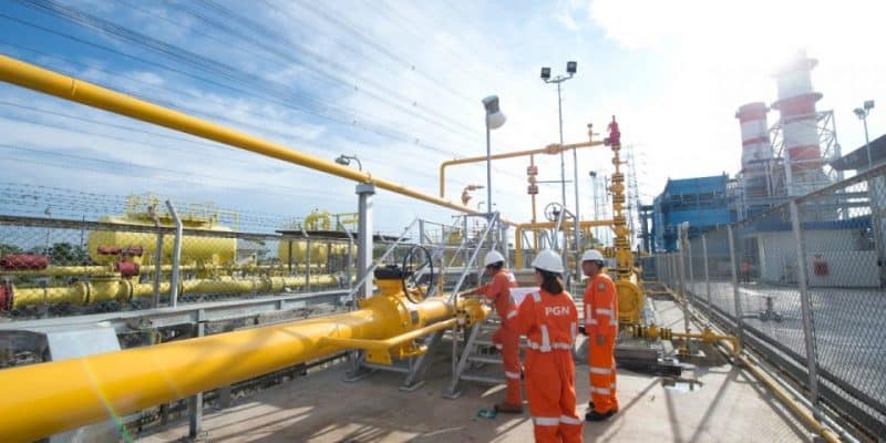 PGN dan Bukit Asam Kolaborasi Kembangkan Gasifikasi Batu Bara Jadi SNG untuk Perkuat Ketahanan Energi Nasional