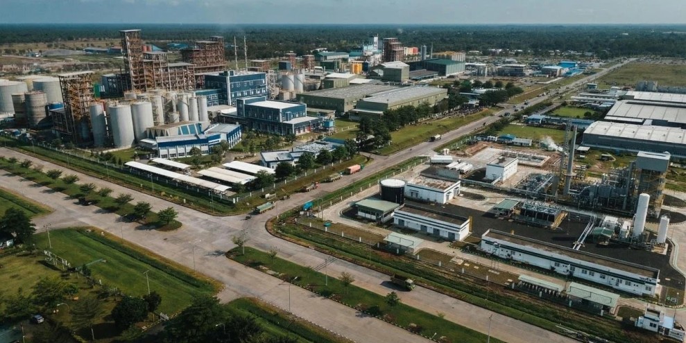 Strategi PalmCo Dorong Hilirisasi Sawit dengan Nilai Ekonomi Lebih Tinggi