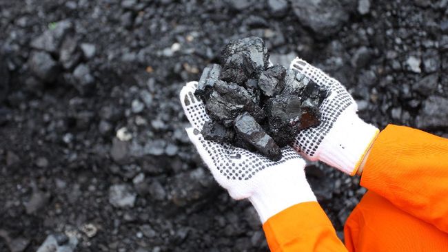 Harga Batu Bara Naik Dua Hari Berturut