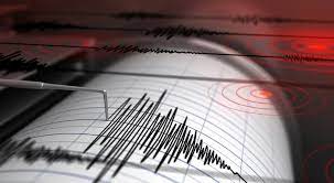 Gempa Magnitudo 4,1 Guncang Bogor, BMKG Pastikan Dipicu Aktivitas Sesar Citarik Aktif