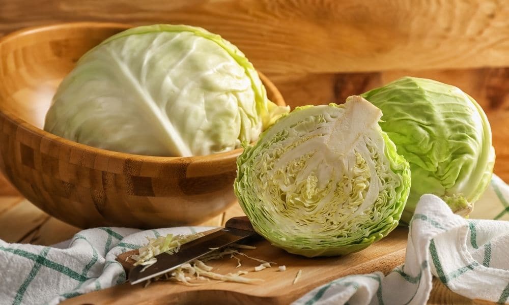 7 Cara Menyimpan Kubis Agar Tahan Lama Dan Tidak Cepat Layu