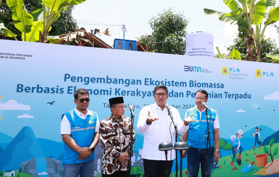 PLN Energi Primer Indonesia Kembangkan 1,7 Juta Hektare Lahan Kritis Jadi Produktif dengan Biomassa