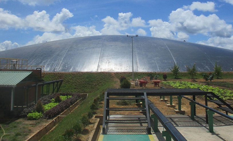 Bio CNG Sawit Solusi Energi Ramah Lingkungan Indonesia