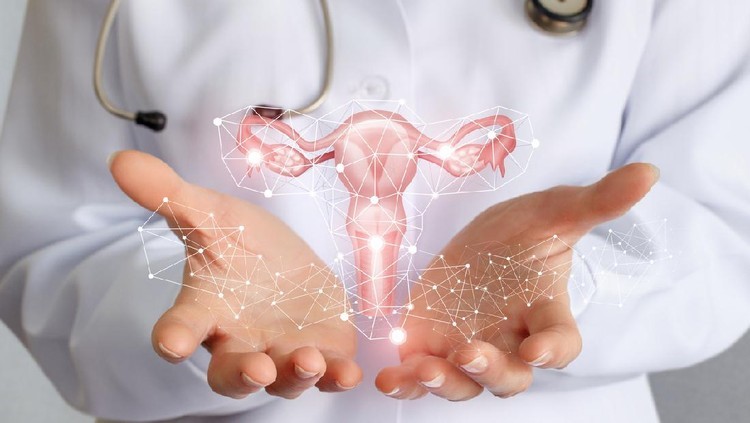 Honeymoon Cystitis Viral di TikTok: Penyebab, Gejala, dan Risiko yang Harus Diwaspadai