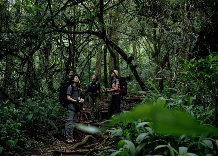 Wisata Alam Indonesia Terbukti Jaga Kesehatan Mental Kita